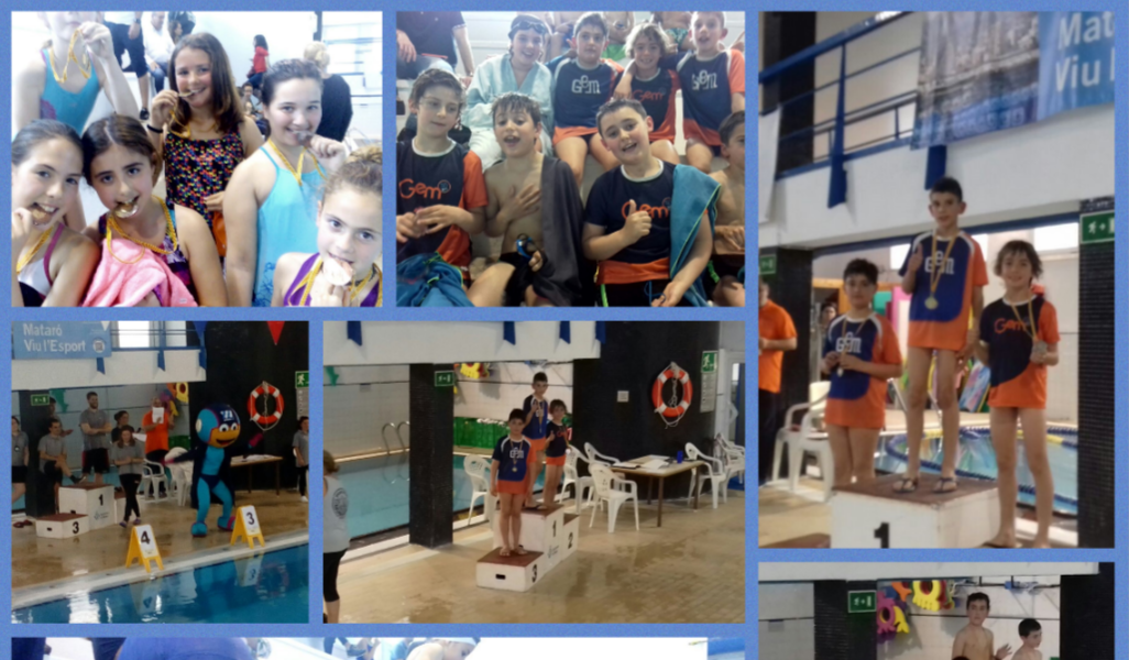 Campionat escolar de natació